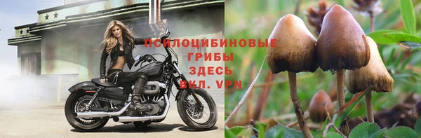 не бодяженный Вязники