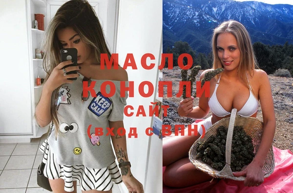 гидропоника Горняк