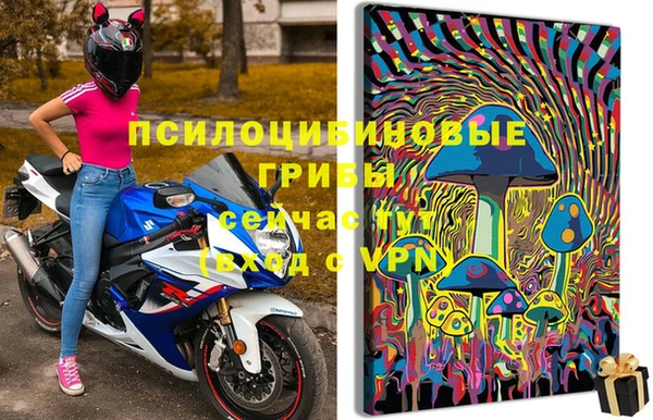 герыч Вяземский