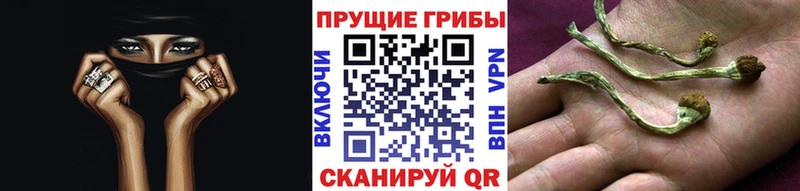 Псилоцибиновые грибы Magic Shrooms  Задонск 